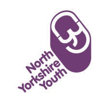logo ny youth 17